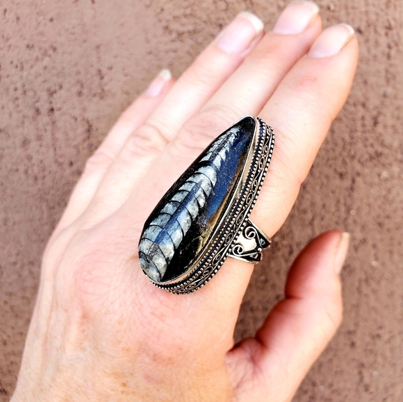 New Huge Orthoceras Fossil 925 Silver Ring. - Picture 6 of 16